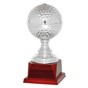 Trofeo Especial Golf 193-3980